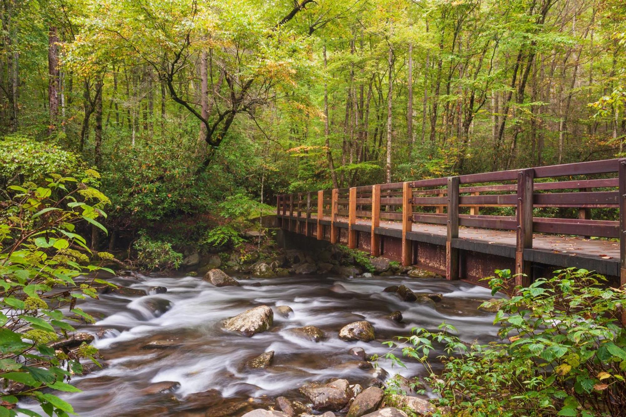 Serenity Heights, Amazing Views, Hot Tub Pool Access, 1089 Free Tickets Each Paid Day, Dollywood ガトリンバーグ エクステリア 写真
