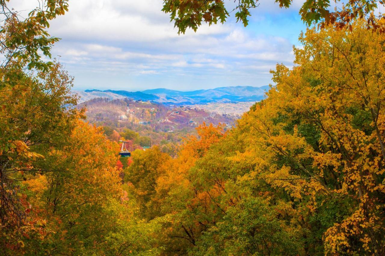 Serenity Heights, Amazing Views, Hot Tub Pool Access, 1089 Free Tickets Each Paid Day, Dollywood ガトリンバーグ エクステリア 写真